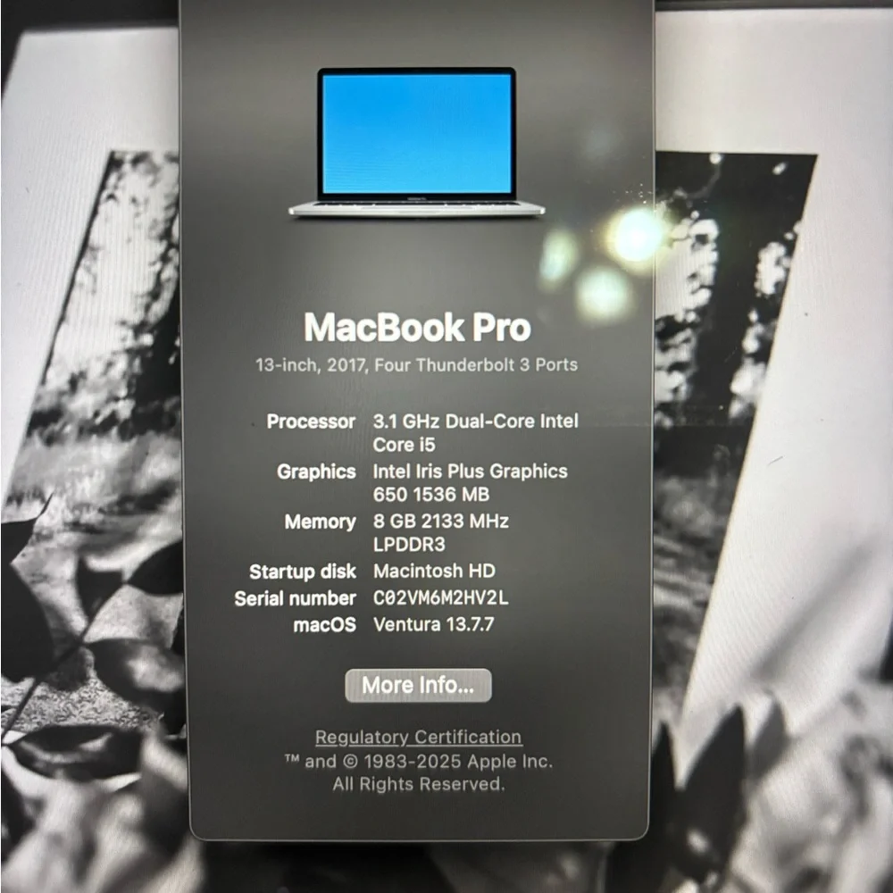 Apple Silver Laptop